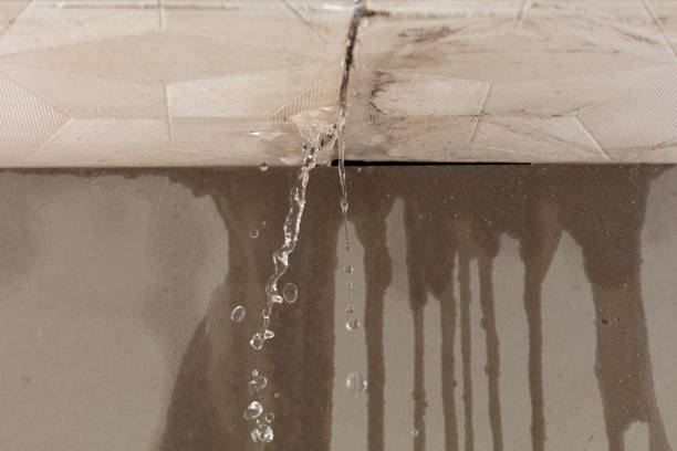 Professional Burst Pipe Cleanup technician working in Veyo, UT